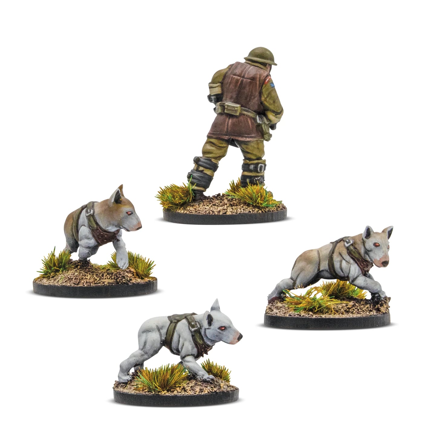 Konflikt 47Cerberus Squad 1