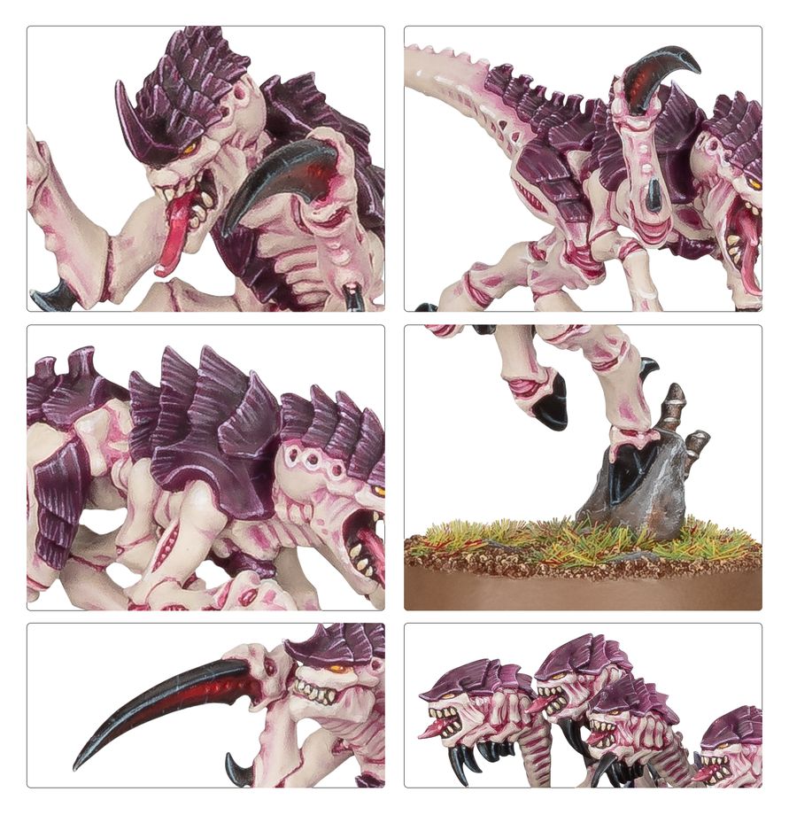 Warhammer 40,000 Tyranids: Hormagaunts
