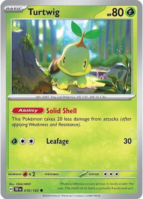 10-turtwig