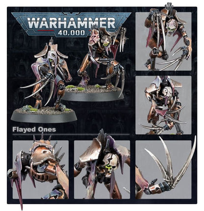 Warhammer 40,000 Necrons: Flayed Ones