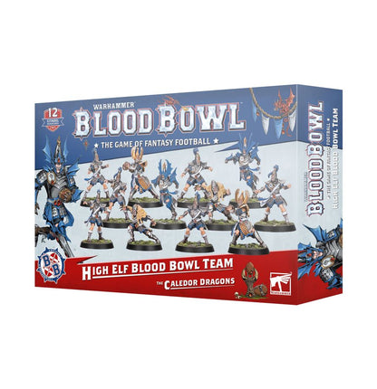 Warhammer Blood Bowl High Elf Team – The Caledor Dragons