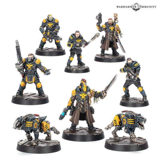 Palanite Enforccer Captains & Sergeants